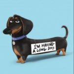 18337145_1374143669333354_353575743_n