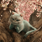 Alice-Autre-Cote-Miroir-Final-Trailer-620×350