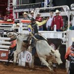 0443470.jpg-r_x_600-f_jpg-q_x-xxyxx