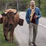 10248524-la-vache-un-film-qui-veau-le-detour
