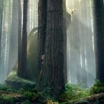 affiche-internationale-peter-elliott-dragon-film-2016-01
