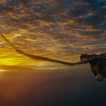 peter-elliott-dragon-disney