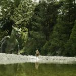 peter-et-elliott-le-dragon-photo-57611b9a67814