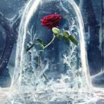 les-personnages-se-devoilent-enfin