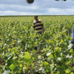 ce-qui-lie-cedric-klapisch-entretien-2[1]