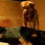 586628[1]