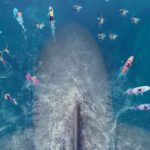 themeg