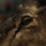 5921711.jpg-r_1920_1080-f_jpg-q_x-xxyxx