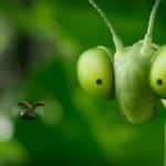 2929626.jpg-r_1920_1080-f_jpg-q_x-xxyxx