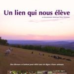 2898288.jpg-c_215_290_x-f_jpg-q_x-xxyxx