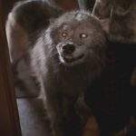 6a00e54ee7b64288330177445b8e03970d-800wi