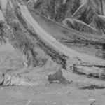 L&rsquo;HÉRITAGE DES 500 000 02