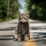 PET SEMATARY, from Paramount Pictures.