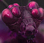 color of the space coincritique1