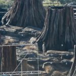 ©dossierprometheuscovenant4