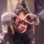 midsommar©lecoindescritiquescine6