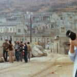 cheerful-wind-still-1