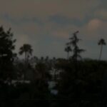 comet-sam-esmail_lecoindescritiquescine6