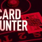 the-card-counter-affiche