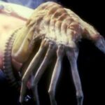 Alien-le-huitieme-passager-Ridley-Scott_lecoindescritiquescine4