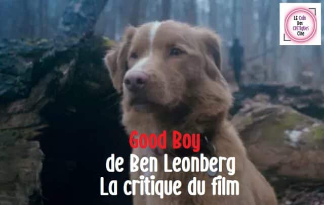 Good-Boy-Affiche