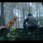 Good-Boy-Ben-Leonberg_lecoindescritiquescine2