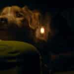 Good-Boy-Ben-Leonberg_lecoindescritiquescine3