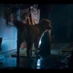 Good-Boy-Ben-Leonberg_lecoindescritiquescine4