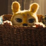 ddf6b584fe3892e8614a3269a11fc5fd