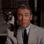 Capture d’écran 2026-01-07 à 18.38.50