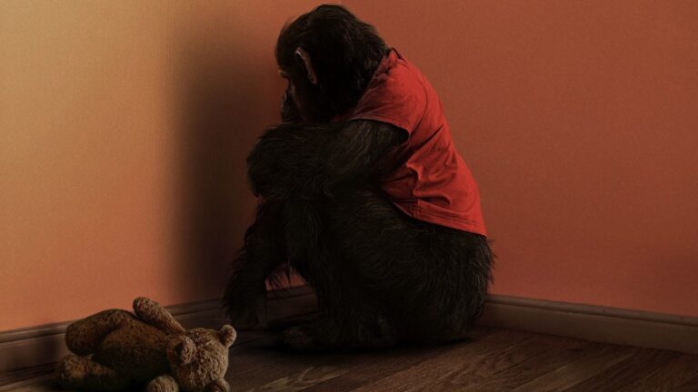 PRIMATE de Johannes Roberts [La critique de film]