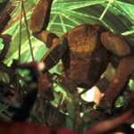 Projet-dernière-chance-Phil-Lord-Christopher-Miller_lecoindescritiquescine6